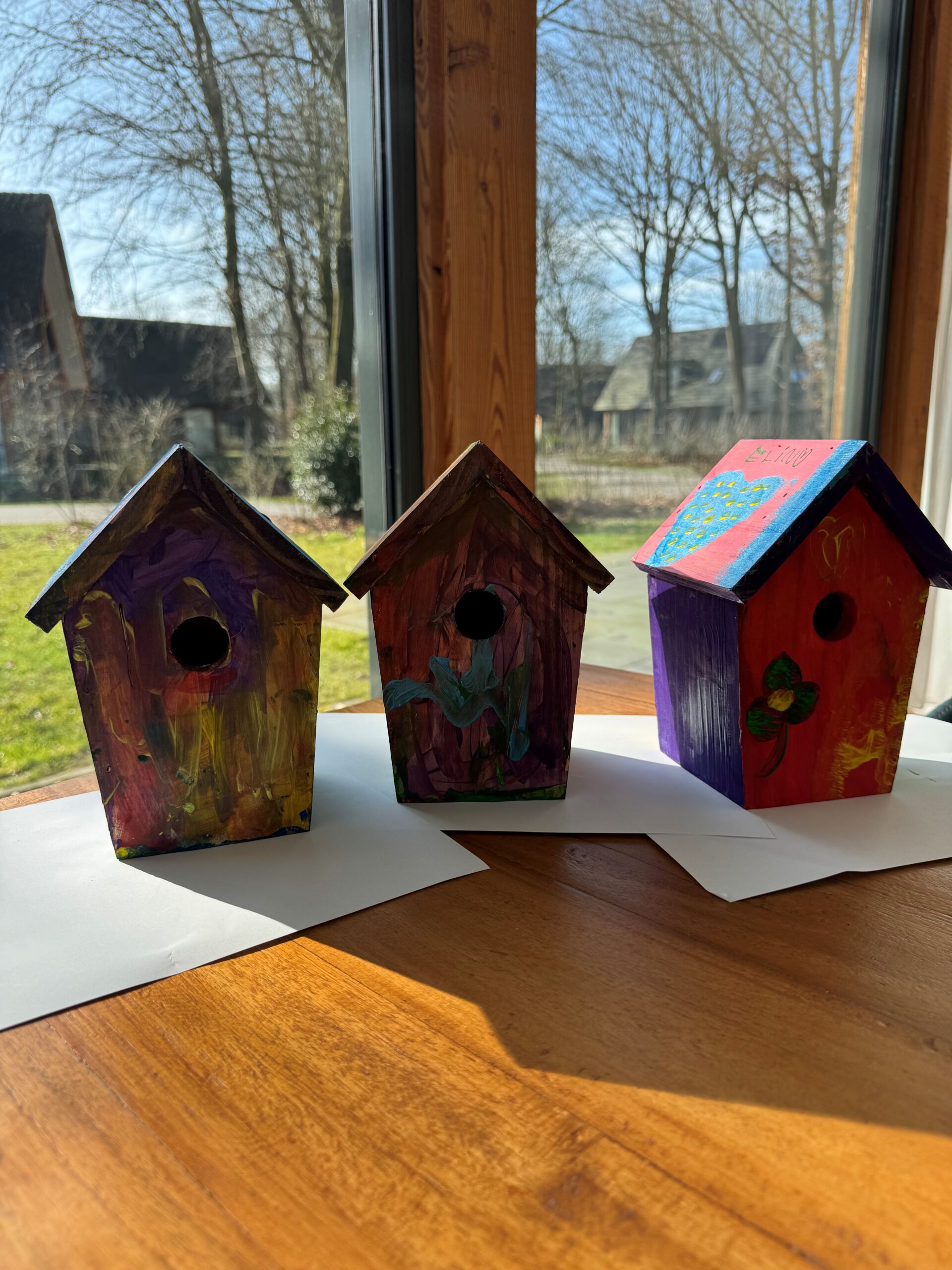 Volgelhuisje schilderen - Afbeelding 5