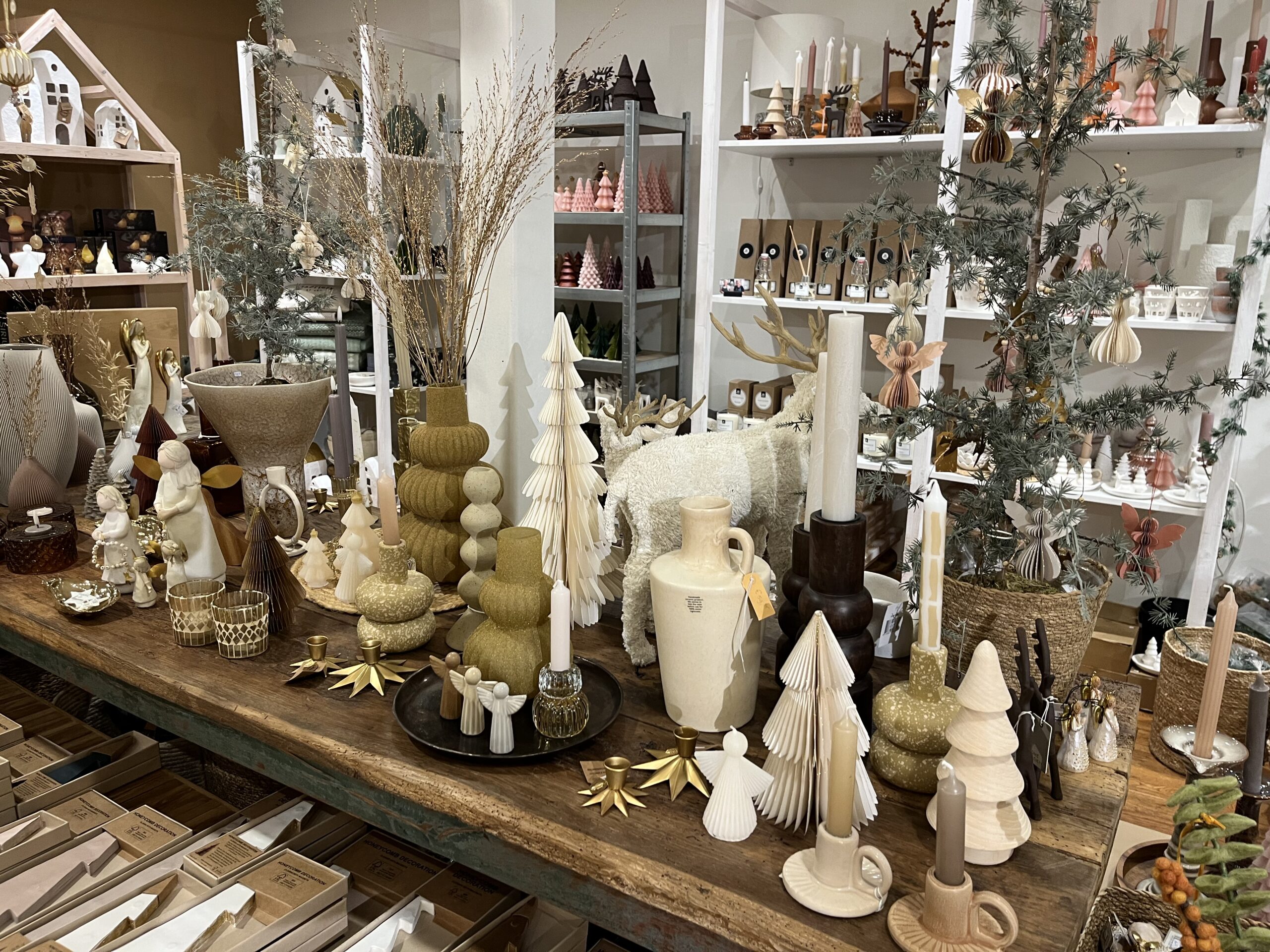 thuis op 41 winter 25