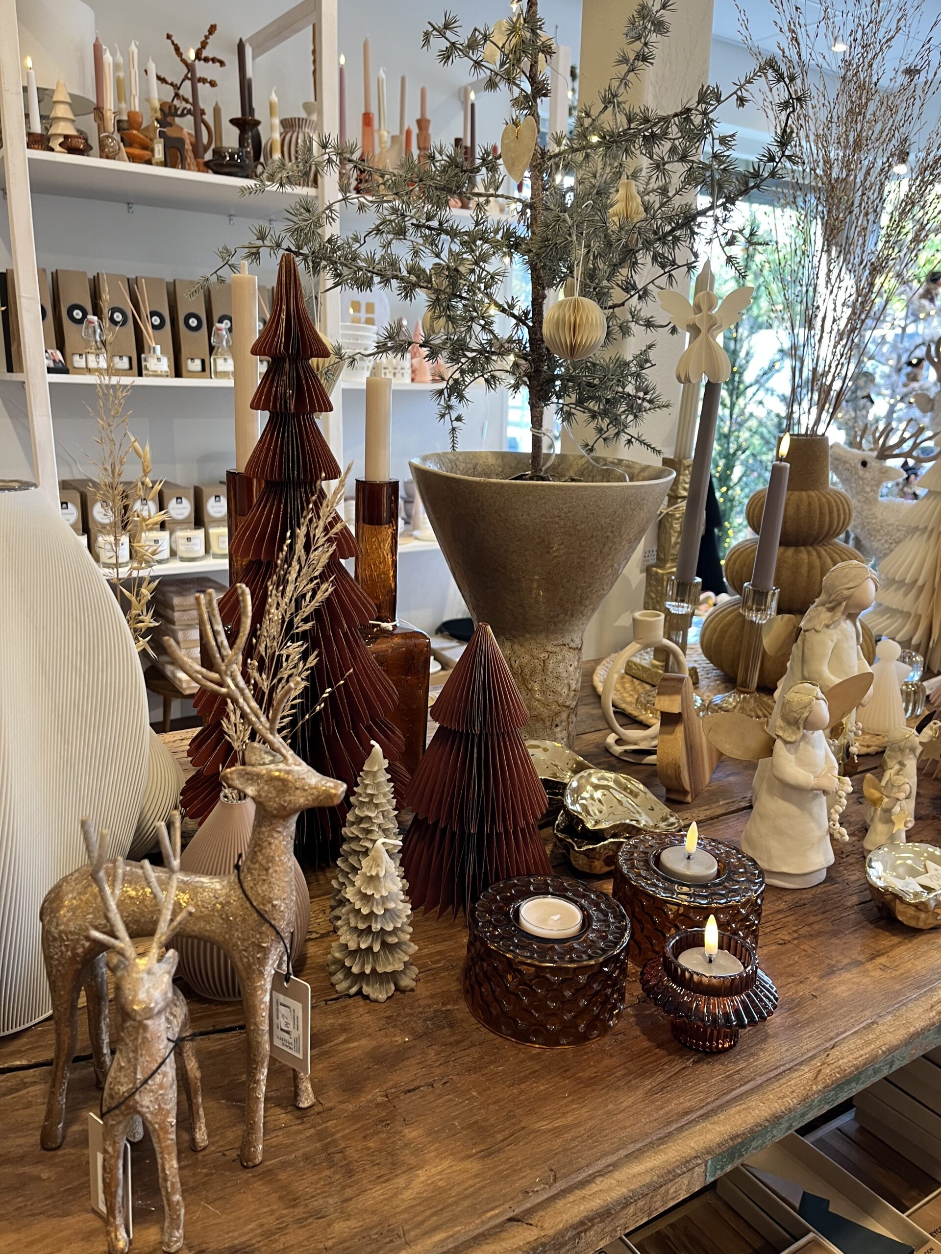 thuis op 41 winter 25