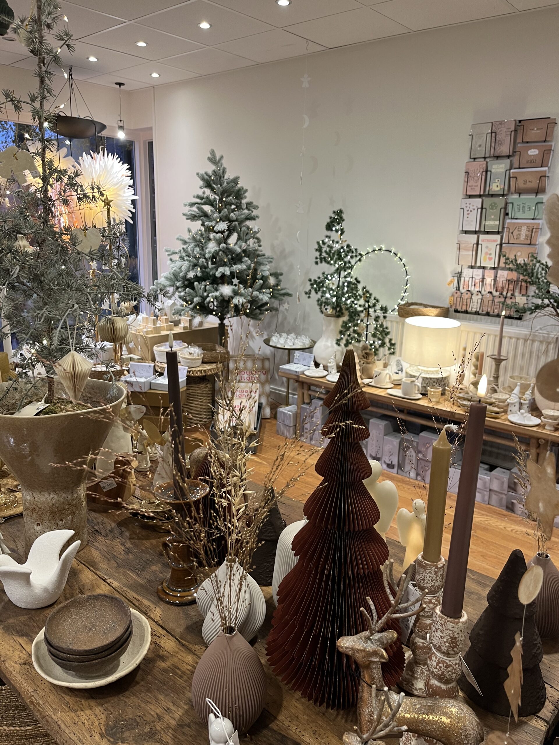 thuis op 41 winter 25