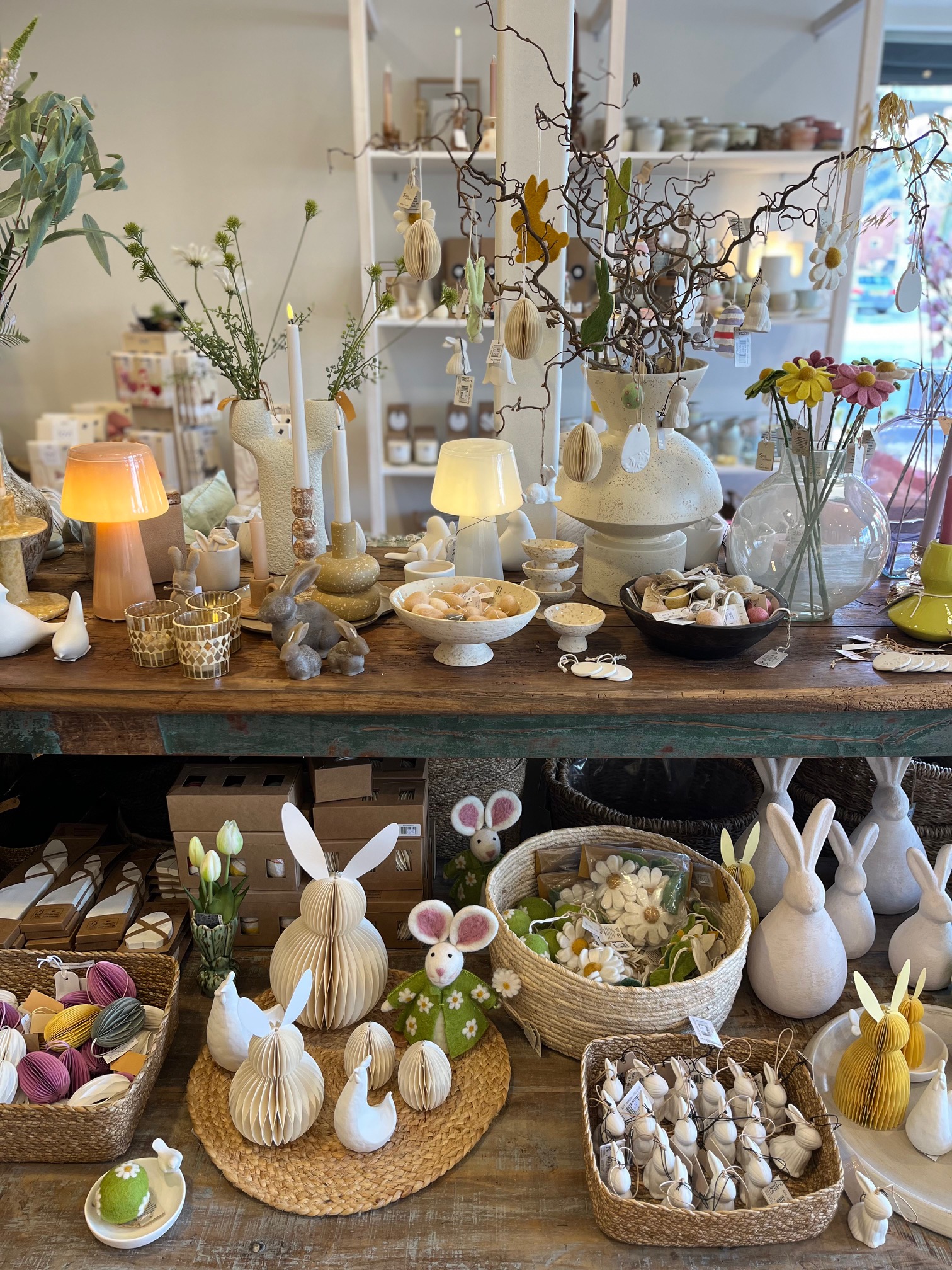 thuis op 41 voorjaar 26