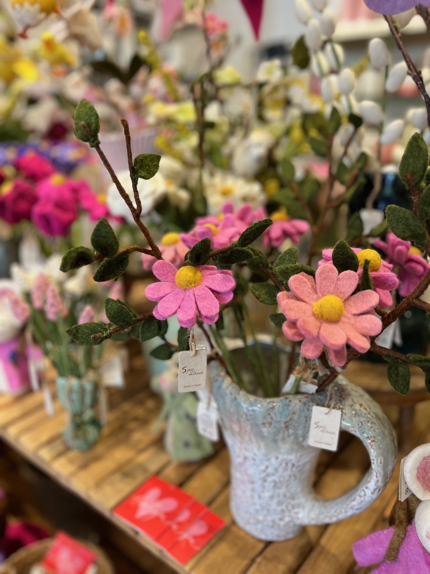 thuis op 41 voorjaar 26