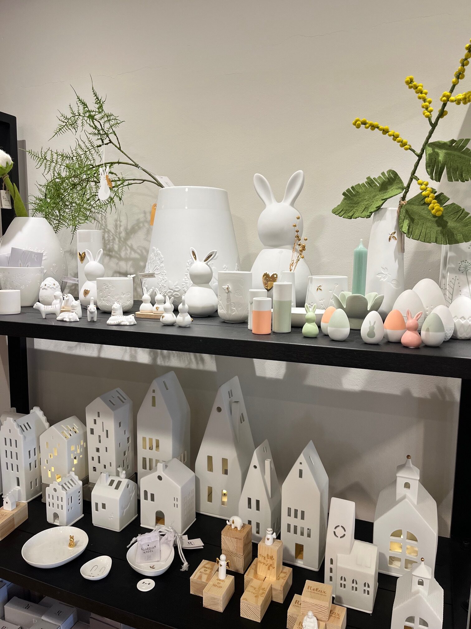 thuis op 41 voorjaar 26