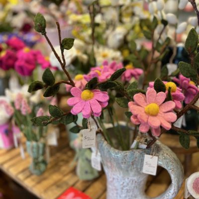 thuis op 41 voorjaar 26